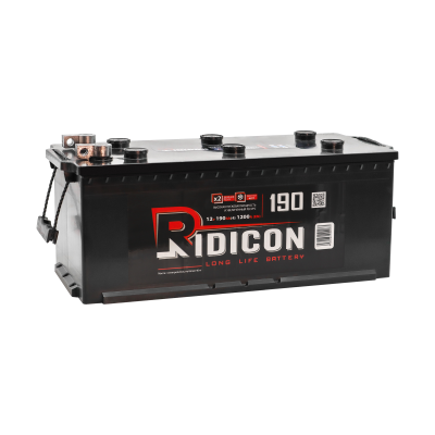 Аккумулятор RIDICON 6ст-190 (4)